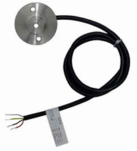 NZ505؝ȿ(_P(gun))